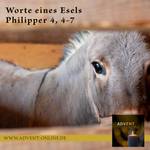 Quelle: Unsplash